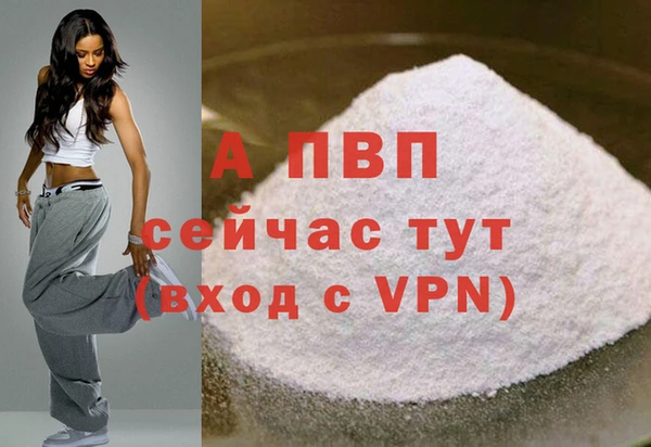 спиды Нея