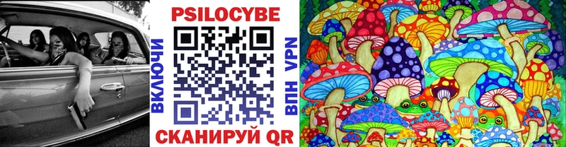 hydra как войти  Теберда  Галлюциногенные грибы Psilocybe  сколько стоит 
